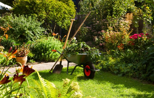 Comment réhabiliter un jardin après un chantier ?