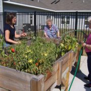 Garden therapy : quand le bien être se trouve dans le jardin