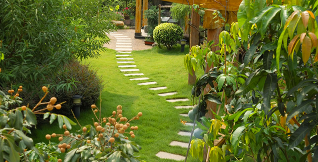 Créer un jardin accueillant : nos conseils