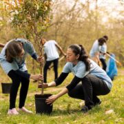 L’écovolontariat, tout ce qu’il y a à savoir